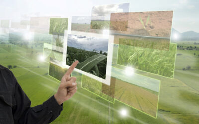 A Transformação do Recursos Humanos em uma Estratégia Vital para o Agronegócio