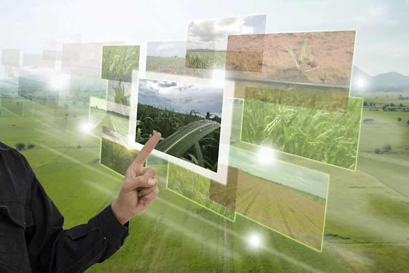 A Transformação do Recursos Humanos em uma Estratégia Vital para o Agronegócio